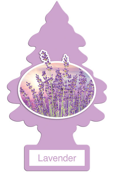 Little Tree Scented Aromas - Variation's (international)